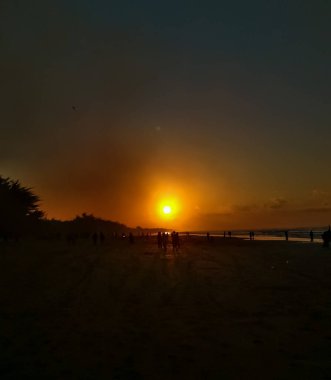 Sahilde gün batımı güzel bir siluet oluşturur.