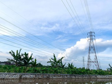 Akşamları nehir kenarındaki pirinç tarlalarının manzarası.
