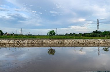 Akşamları nehir kenarındaki pirinç tarlalarının manzarası.