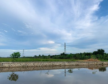 Akşamları nehir kenarındaki pirinç tarlalarının manzarası.