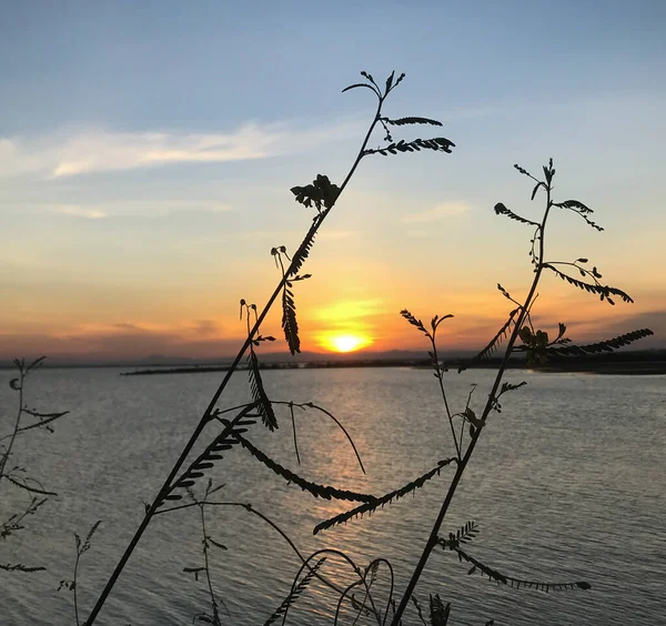 Madura adasının kıyısında gün batımını bekliyorlar.