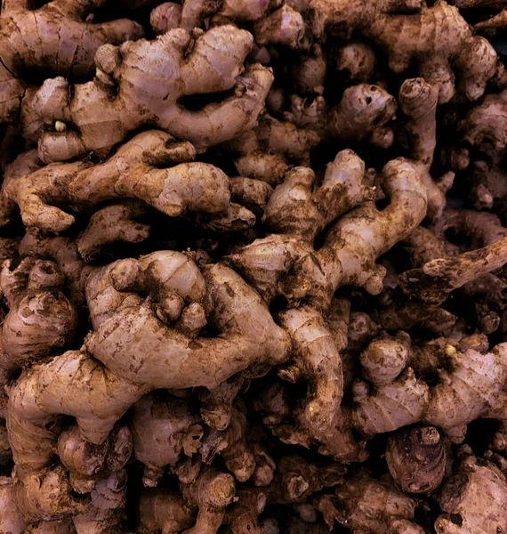 Temizlenmiş galangal