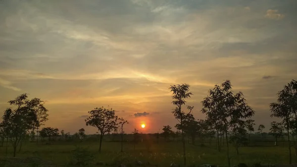 Sahilde gün batımı güzel bir siluet oluşturur.