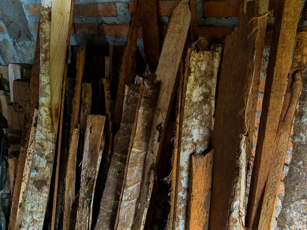 Kesilen hindistan cevizi ağacı gövdeleri soba için yakıt olarak kullanılmaya hazır.