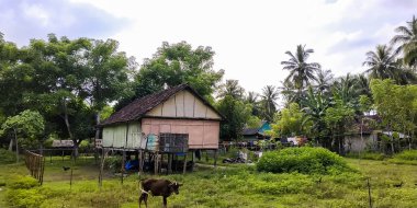 Sapeken Adaları 'ndaki geleneksel evler, Sumenep Regency, Doğu Java