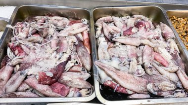 Süpermarkette taze mürekkep balığı yığını