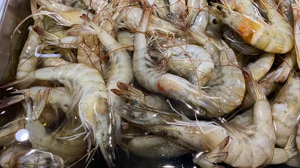Süpermarkette taze karides yığını
