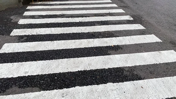 Zebra Tunjungan Caddesi Surabaya 'da kesişiyor