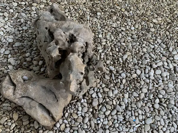 Evin terasına saçılmış beyaz çakıl taşları estetik hale getiriyor.