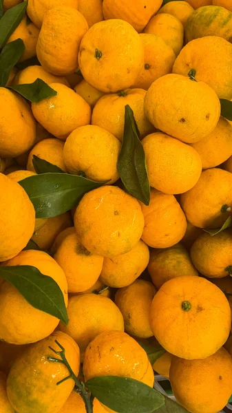 Süpermarkette taze portakal yığını