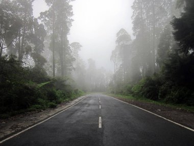 Karayolu sisle kaplı.