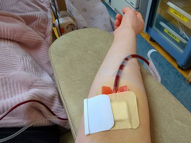 Kore 'de kan bağışlamak için kollarıma iğne batırdım..