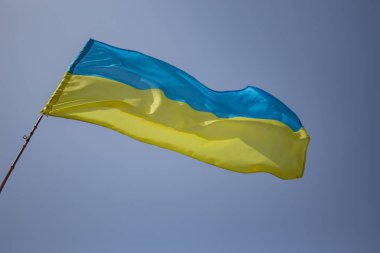 İspanya meydanında Ukrayna protestosu