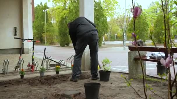 Worker Digging Hole Garden Planting Flowers — Stockvideo