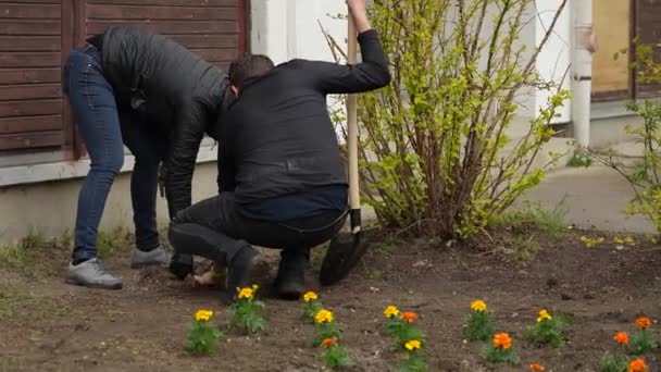 Gardeners Planting Some Flowers Together — Vídeo de Stock