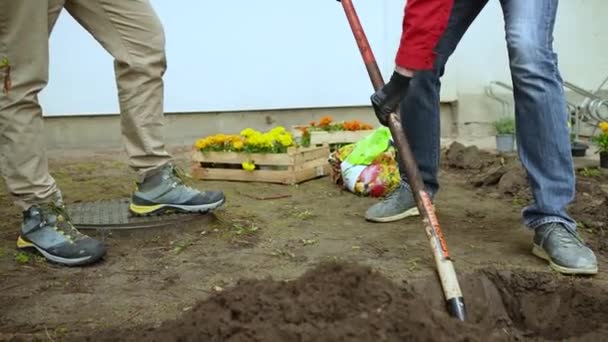 Gardener Digging Hole Spade — Stockvideo