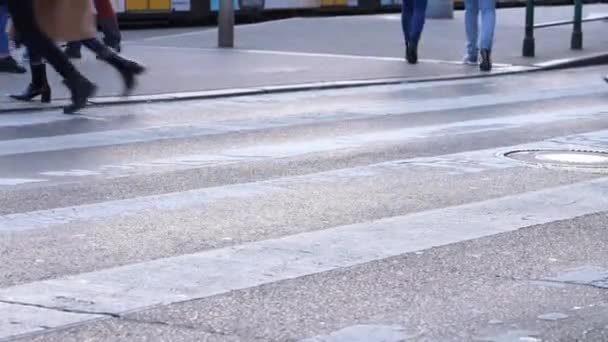 Lot Pedestrians Crossing Road Green Light — Video Stock