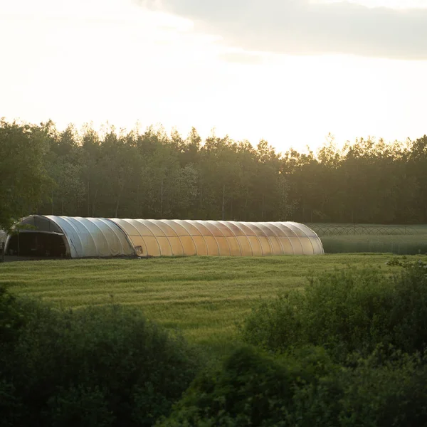Krajobraz Zdjęcie Gospodarstwa Rolnego Ogromnym Tunelem Wzrostu Zielony Dom — Zdjęcie stockowe