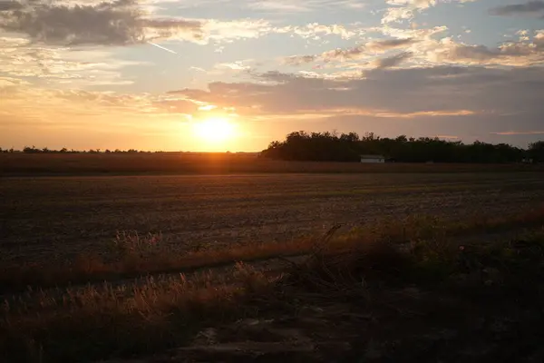 Zachód Słońca Pięknym Dużym Polu Letni Wieczór — Zdjęcie stockowe