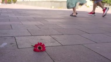 Caddenin ortasında yalnız kırmızı çiçek yatıyordu. Yoldan geçenler yakınlarda yürüyordu.
