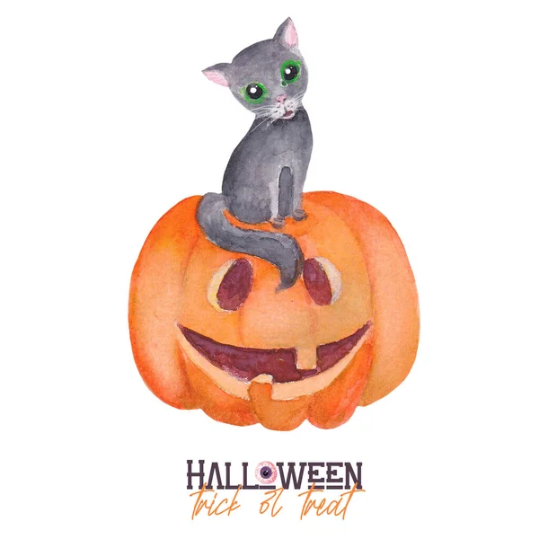 Watercolor Pumpkin Halloween Gray Cat Sitting Jack Lantern Isolated White — Foto Stock