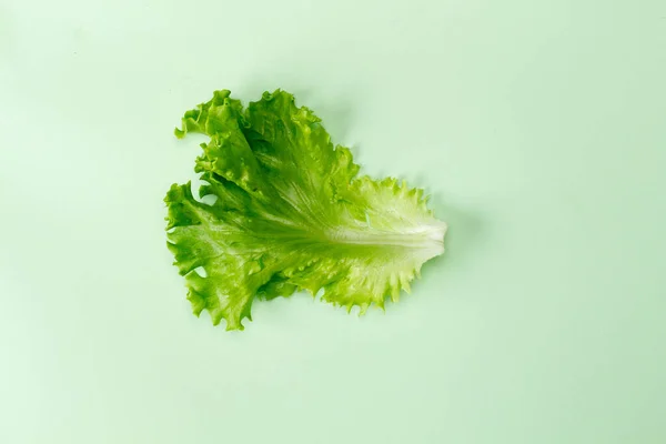 Salata cu vedere plat, izolată pe un fundal pastelat de mentă, cu o umbră. Orientare verticală Imagini stoc fără drepturi de autor