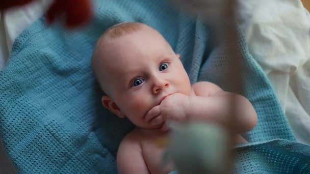 Petit garçon causien mignon, souriant à la caméra, garçon regarde le jouet et est ravi. — Video