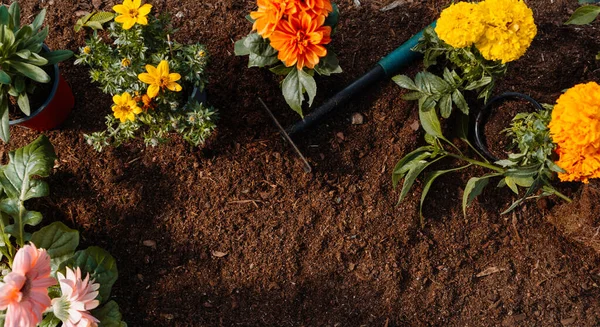 Bahçe manzarası arka planı. Dokular. Kopyalama alanı