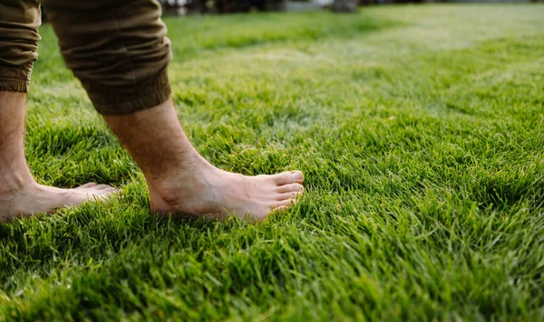 Bare mans feet on the green grass. Bare foot concept