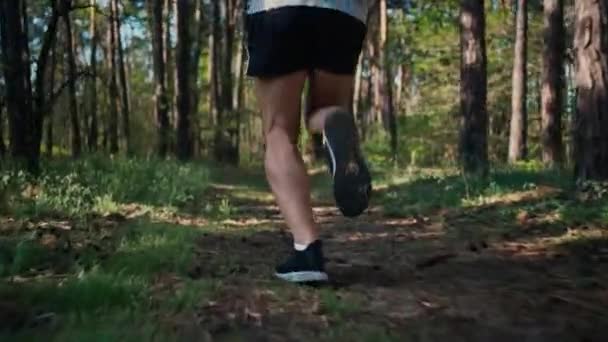 Feche as pernas de atleta correndo na floresta. Corredor sprinting e fazer exercício. — Vídeo de Stock