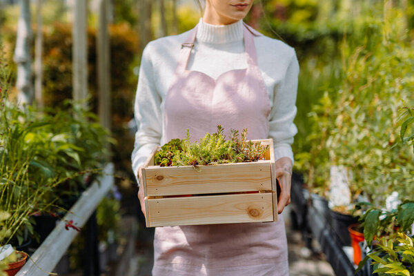 Woman botanist holding a box of flowers. Ecommerce, online order. Stock Photo