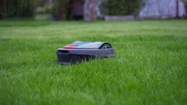 Çim biçme makinesi yeşil çimleri kesiyor. Robot! Kopyalama. Yüksek kalite fotoğraf