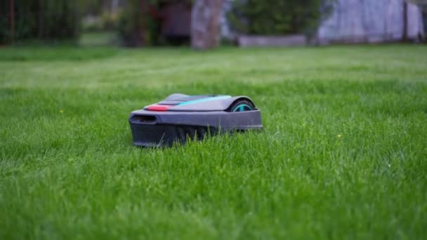 Lawn Mower Cutting Green Grass Robot Copyspace High Quality Photo — стоковое видео