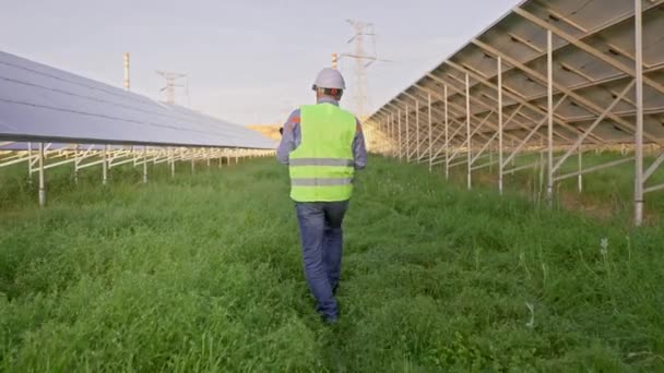 Rear View Worker Solar Farm Solar Photovoltaic Panels Eco Alternative — Stock Video