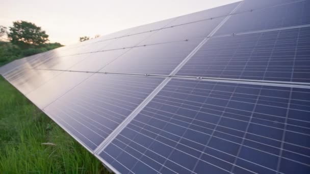 環境に優しい電力を生産するためにフィールドにマウントされた青い太陽光発電パネルの表面の閉鎖 再生可能エネルギーの概念の生産 — ストック動画