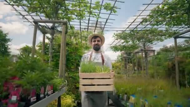 Portrait Homme Beau Jardinier Tenant Boîte Bois Avec Des Pots — Video