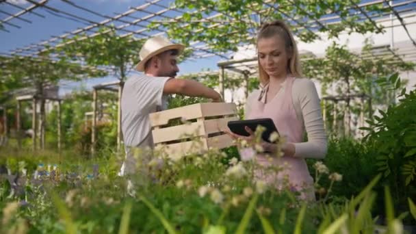 Νεαροί Κηπουροί Ποδιές Που Φροντίζουν Φυτά Από Την Οπτική Γωνία — Αρχείο Βίντεο