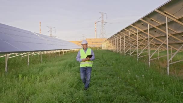Industrial Senior Man Engineer Uniform Walking Solar Panel Field Examination — ストック動画