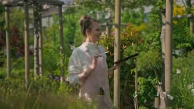 Başarılı bir kadın çiftçi sebze çiftliğinde iyi haldeki ürünleri internet üzerinden satarak tablet bilgisayar kullanıyor. Sera konseptinde çalışan işçiler