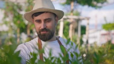 Dekoratif çiçek ve bitkilerle ilgilenen yakışıklı bahçıvanın portresi. Tarım serasında güneşli bir günde sakallı bahçıvan bakıyor ve gülümsüyor.