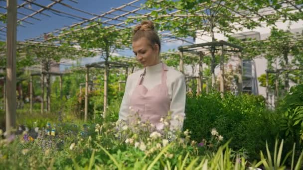 Caucasian Female Planting Flowers Backyard She Taking Care Flowers Pots — Wideo stockowe