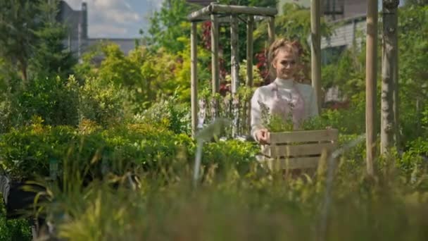 Női Farmer Egy Doboz Friss Növényekkel Sétál Végig Üvegházán Egy — Stock videók