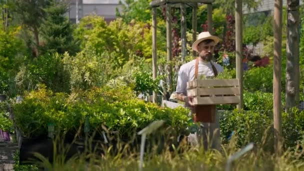 Young Handsome Farmer Holding Box Plants Sunlight Agriculture Farm Field — Αρχείο Βίντεο