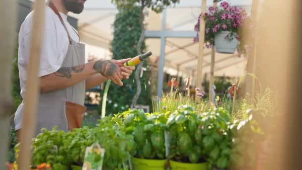 Close View Male Gardener Garden Centre Hand Hose Watering Vegetable — Αρχείο Βίντεο