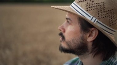 Agronomist adam tarlayı gözlemler akşam yakın çekim tahıl hasadını inceler. İşçi çiftçiler arpa hasadına katılıyor. Kırsal bölgedeki fırtınalı gökyüzünü izleyen tarımcı sahibinin portresi.