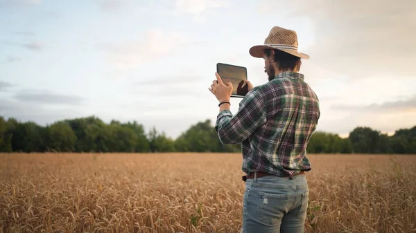 Farmer Working Tablet Computer Wheat Field Agronomist Recording Video Tablet — Zdjęcie stockowe