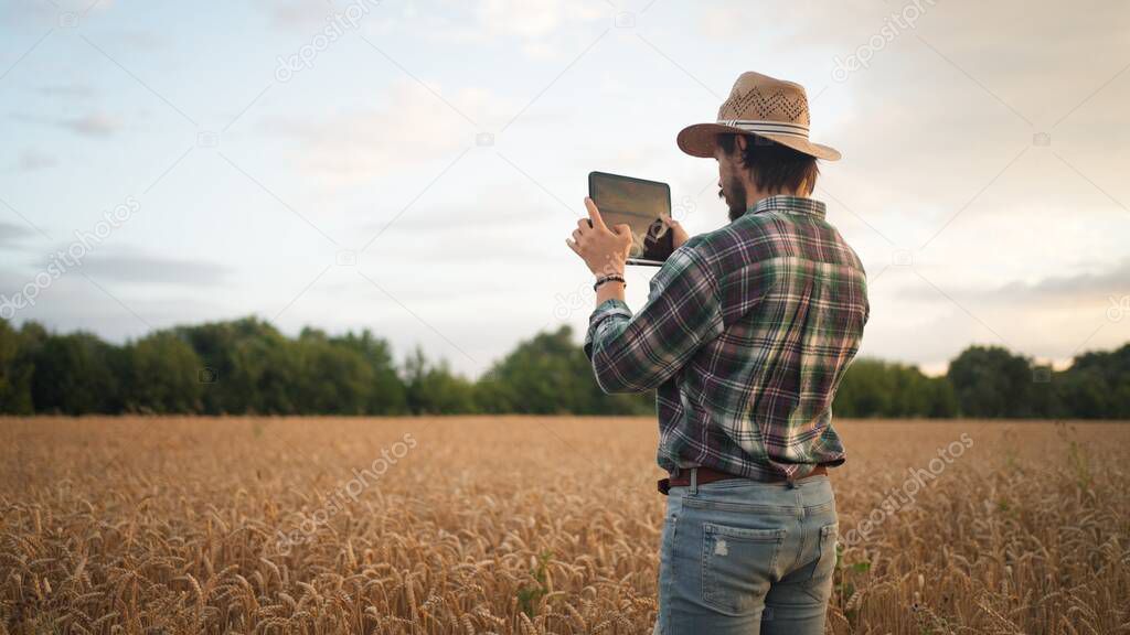 Farmer working with tablet computer on wheat field. Agronomist recording video on tablet while studying wheat harvest. Businessman analyzing grain harvest. Agriculture concept