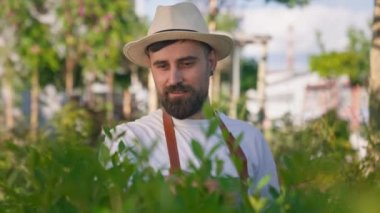 Bearded man gardener in hat carefully taking care of the decorative flowers and plants. Skilful gardener looking and smiling during the sunny day in agricultural greenhouse