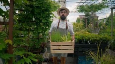 Skilful bearded man small business worker taking box with fresh plants from the ground and going through greenhouse with happy face. Farming concept
