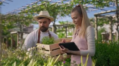 Young couple of gardeners in aprons caring for plants at the greenhouse. Man standing with wooden box and woman holding tablet
